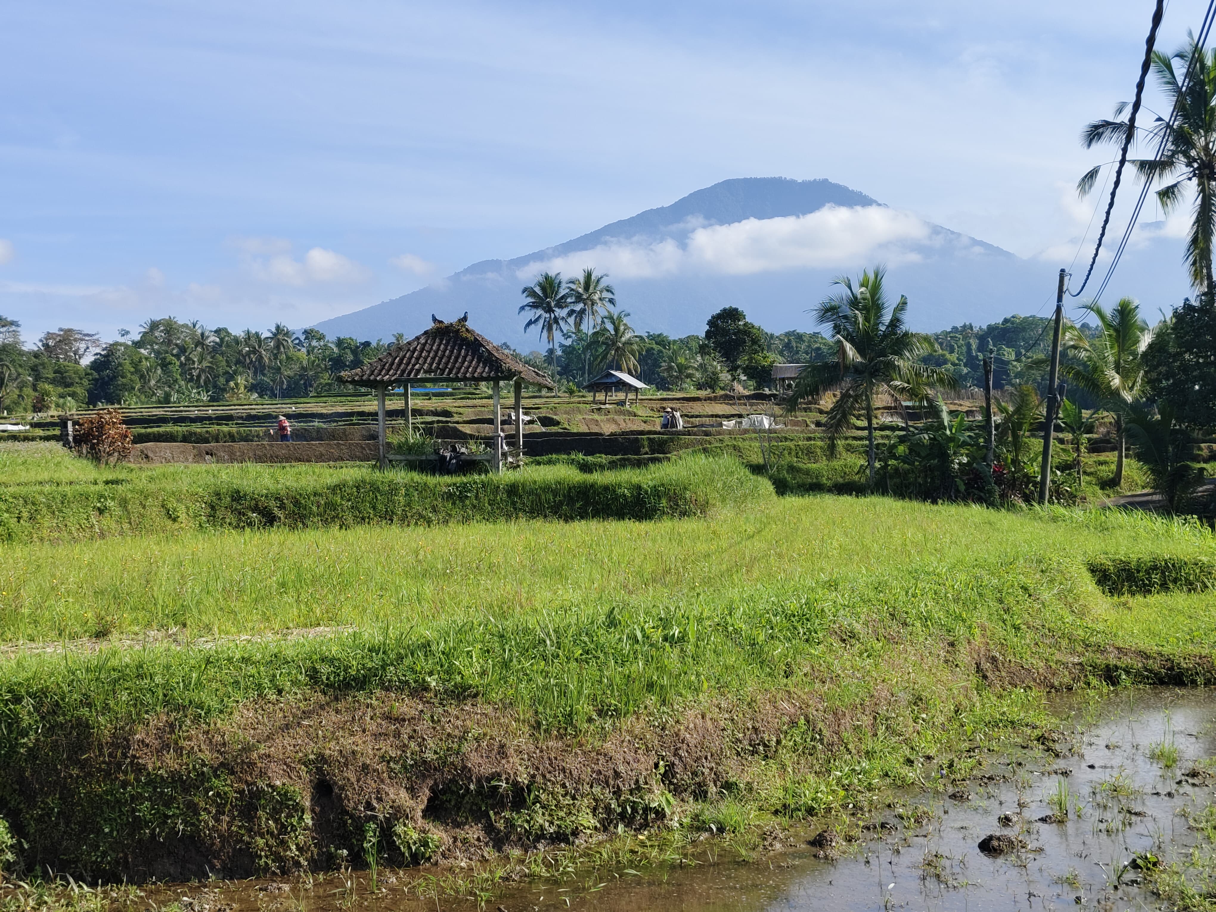 Trekking di area persawahan desa